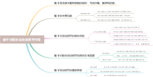 脑干对躯体运动的调节作用