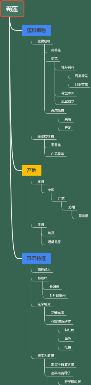 蒴莲