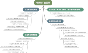 中药材：白花菜