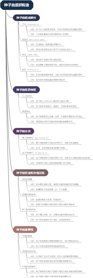 种子的组织构造
