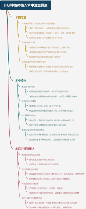叶状种植体植入术中注意要点
