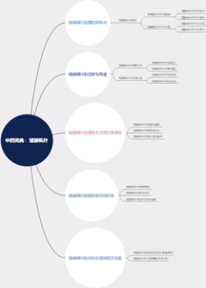 中药词典：矮脚枫叶