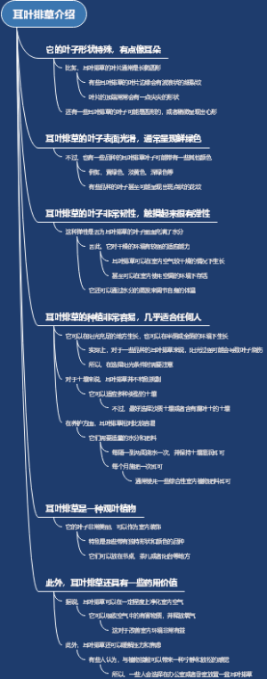 中药材：蓖麻根