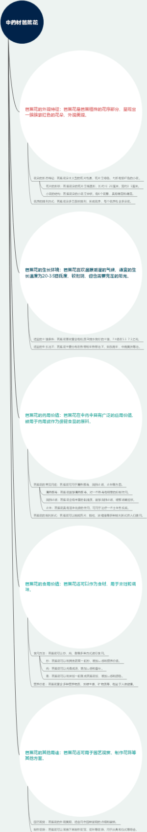 中药材芭蕉花