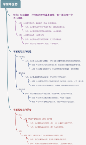 车前中医药