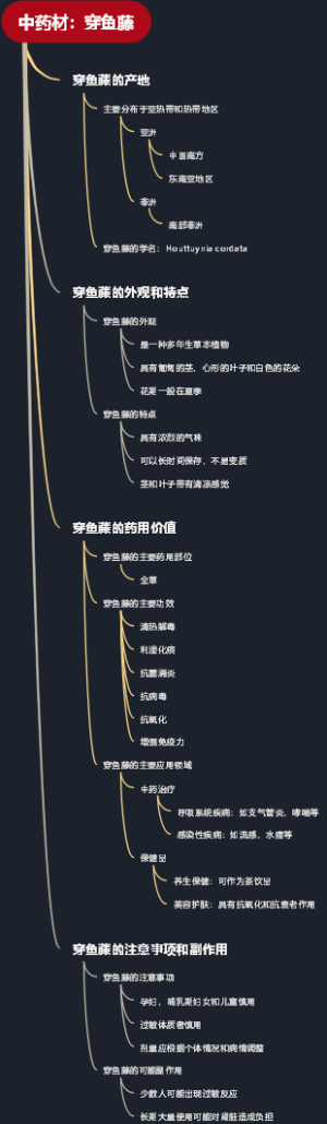 中药材：穿鱼藤