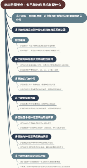 临床药理考点：多巴胺的作用机制是什么