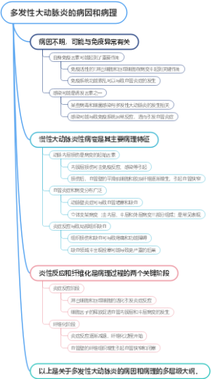 多发性大动脉炎的病因和病理