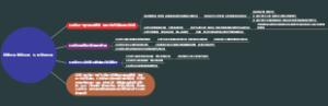 临床药理学知识点：乐托尔的药理