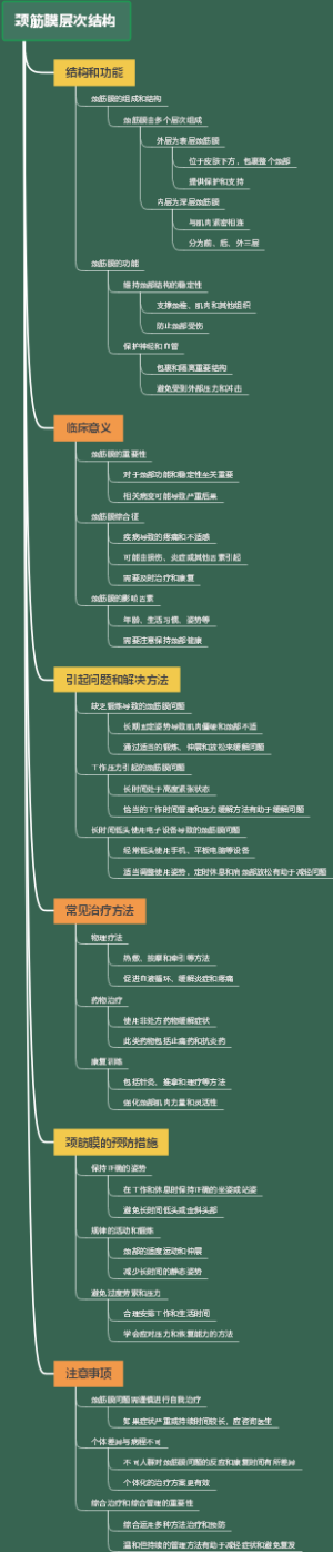 颈筋膜层次结构