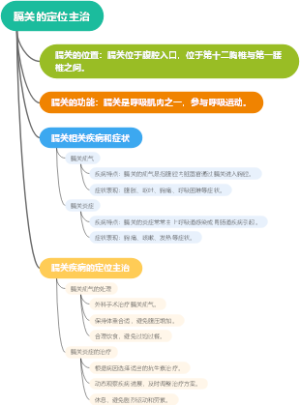 膈关的定位主治