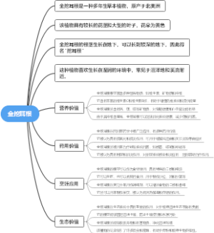 金挖耳根