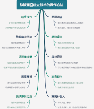 静脉通道建立技术的操作方法