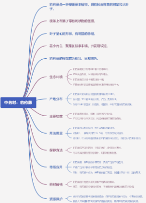 中药材：豹药藤