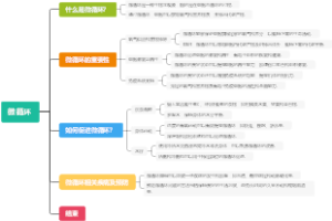 微循环