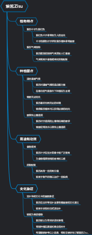紫苏Zisu