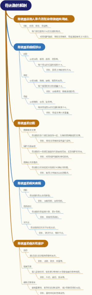 骨迷路的解剖