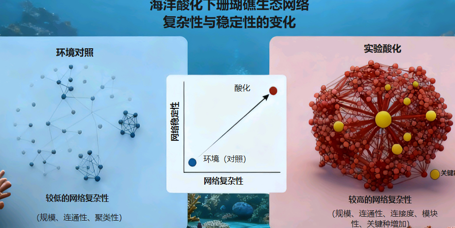 海洋酸化珊瑚礁生态网络图