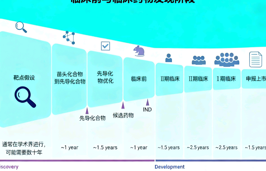 临床前与临床药物发现阶段图