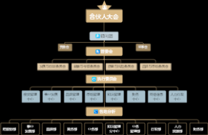 合伙人大会组织结构图-暗黑