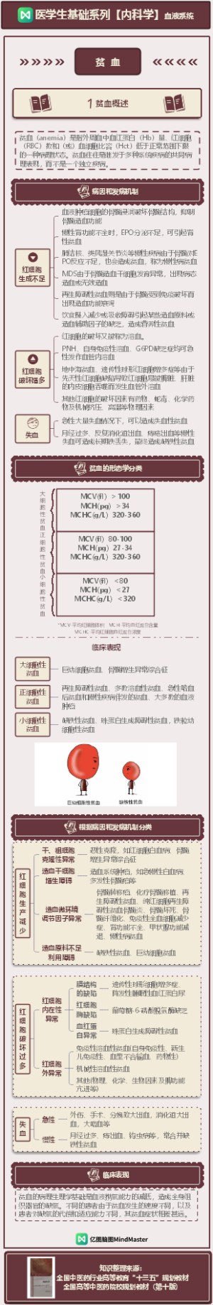 医学生基础知识-内科学-血液系统-上3