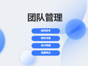 团队管理