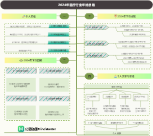 2024年年终总结-生物医疗（医学药学）