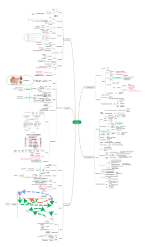 选择性必修一生物