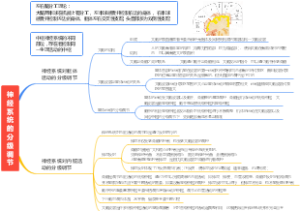 神经系统的分级调节