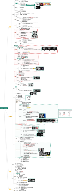 影像学 消化系统 第二节 肝脏、胆系、胰腺和脾