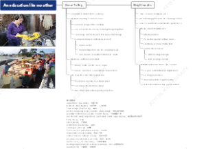 An education like no other