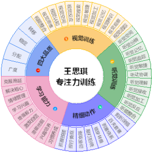 专注训练大纲
