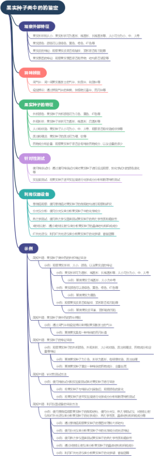 果实种子类中药的鉴定