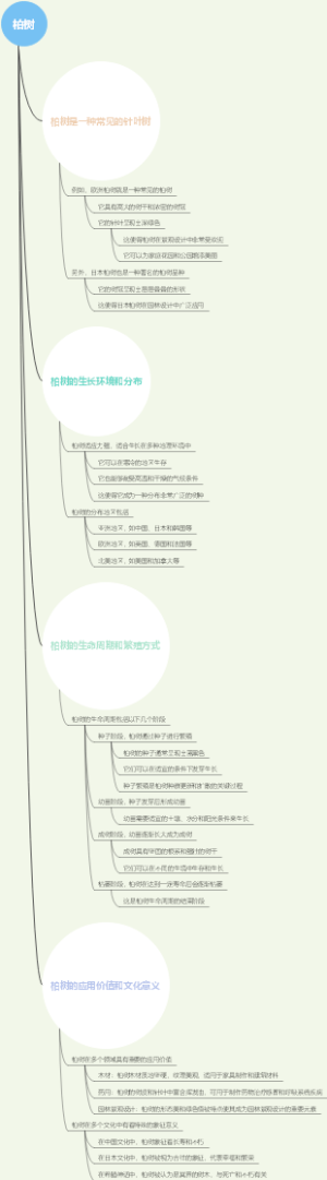 柏树