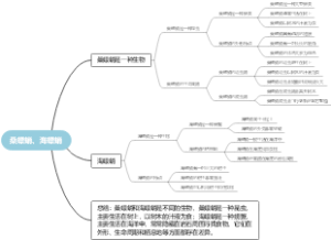 桑螵蛸、海螵蛸