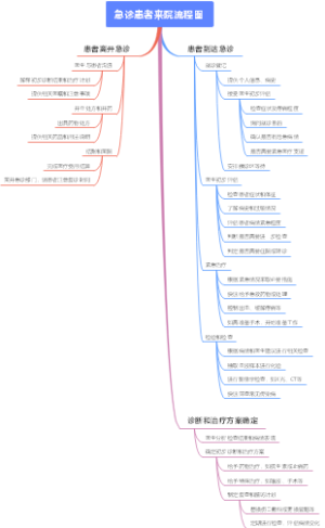 急诊患者来院流程图