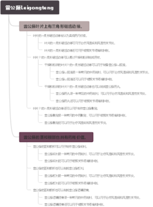 雷公藤Leigongteng