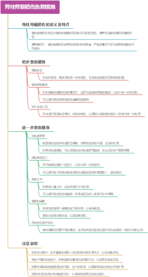 脊柱脊髓损伤急救措施