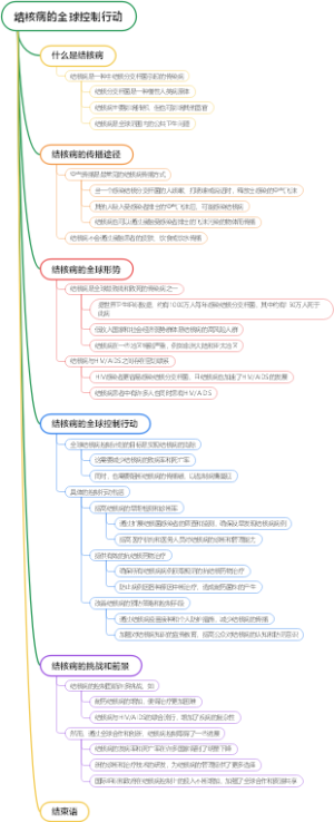 结核病的全球控制行动