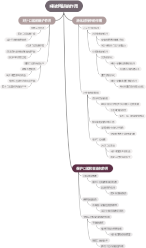 唾液所起的作用