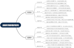 金融财务部组织结构