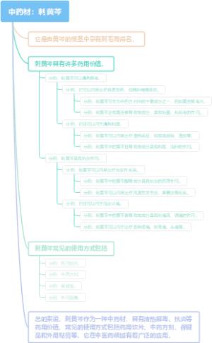 中药材：刺黄芩