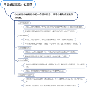 中医基础理论：心主血