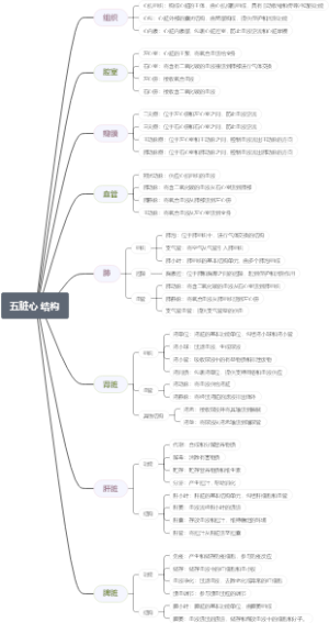五脏心﻿ 结构