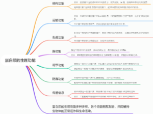 蛋白质的生理功能