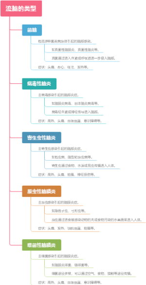 流脑的类型