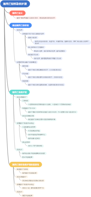 脑死亡指标急救护理