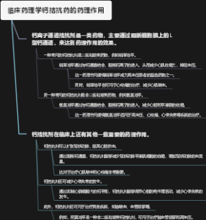 临床药理学钙拮抗药的药理作用