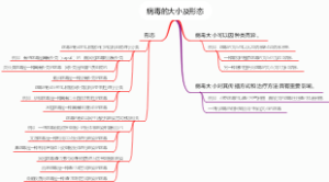 病毒的大小及形态