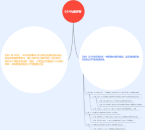 GSP内部评审